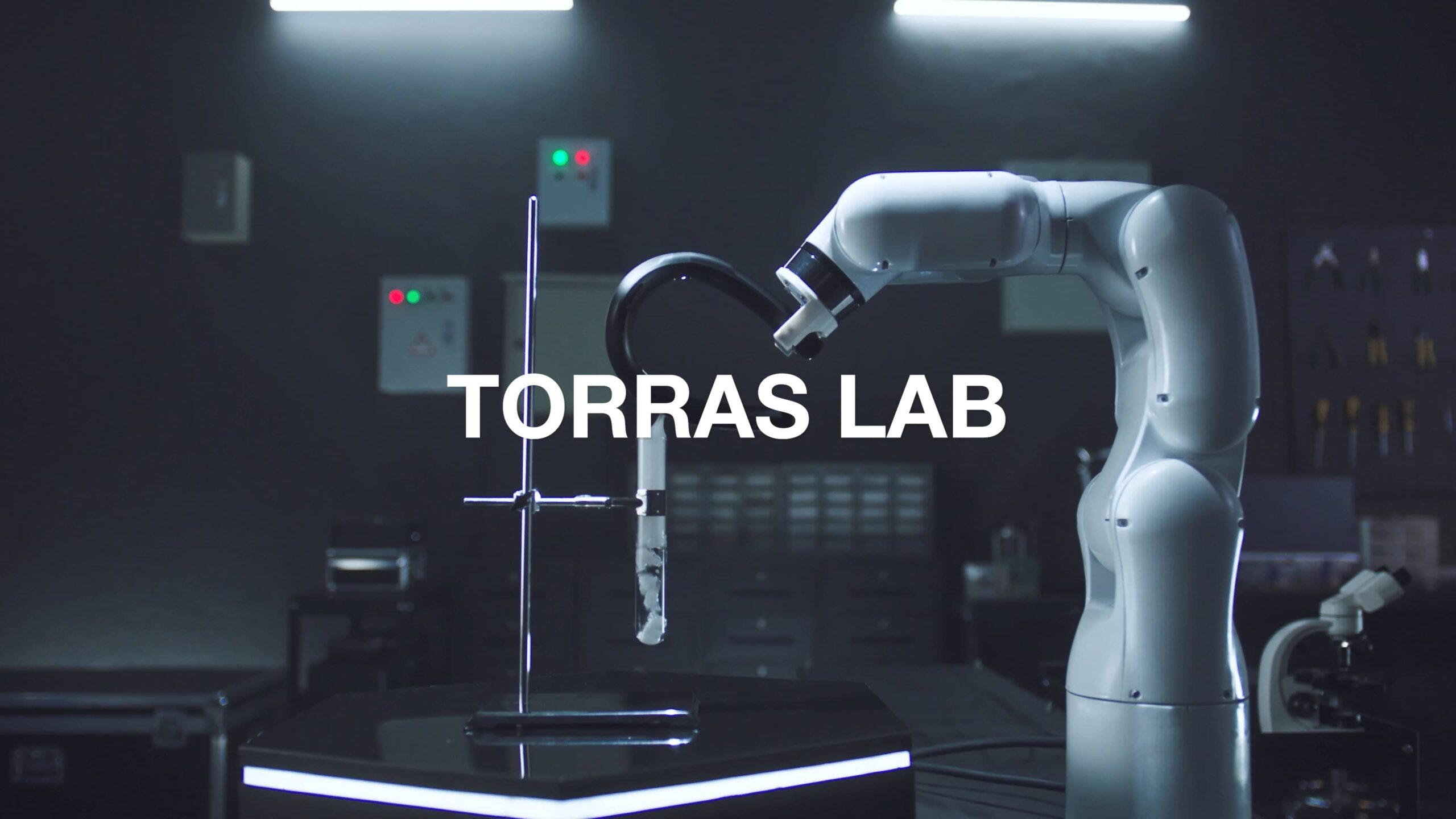 TORRAS LAB